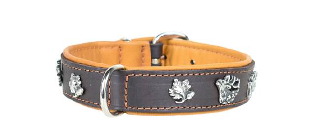 Hundehalsband Leder